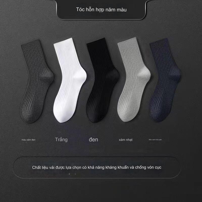 Vớ Cotton Đơn Giản Thoải Mái Dành Cho Đi Học, Đi Làm, Công Sở  khỏe mạnh tất Nam